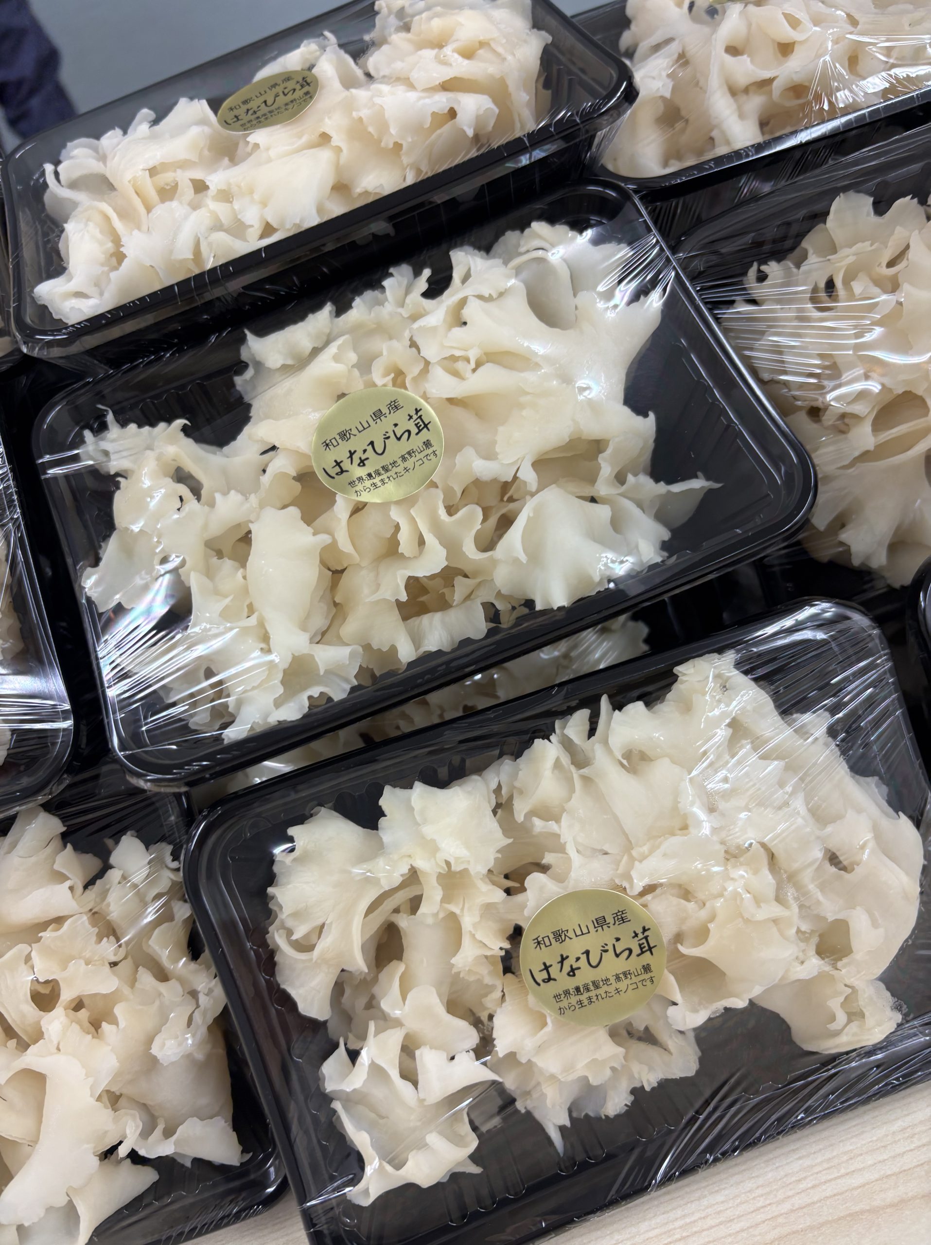 幻のきのこ「ハナビラタケ」を社員へ配布